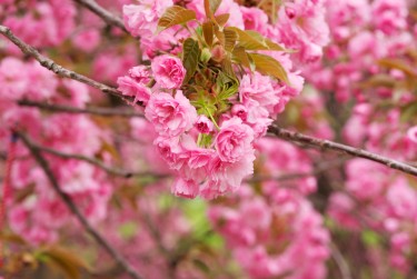 南京建邺区6线下个人借款平台一站式服务，轻松解决资金难题