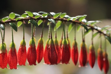 南京建邺区6零用贷短借：轻松解决临时资金需求