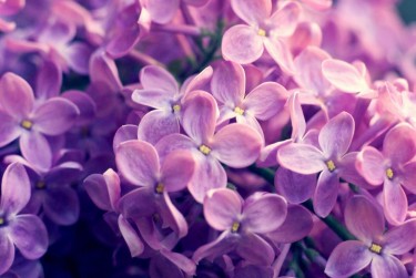 南京建邺区6企业急用钱贷款攻略：快速融资解燃眉之急